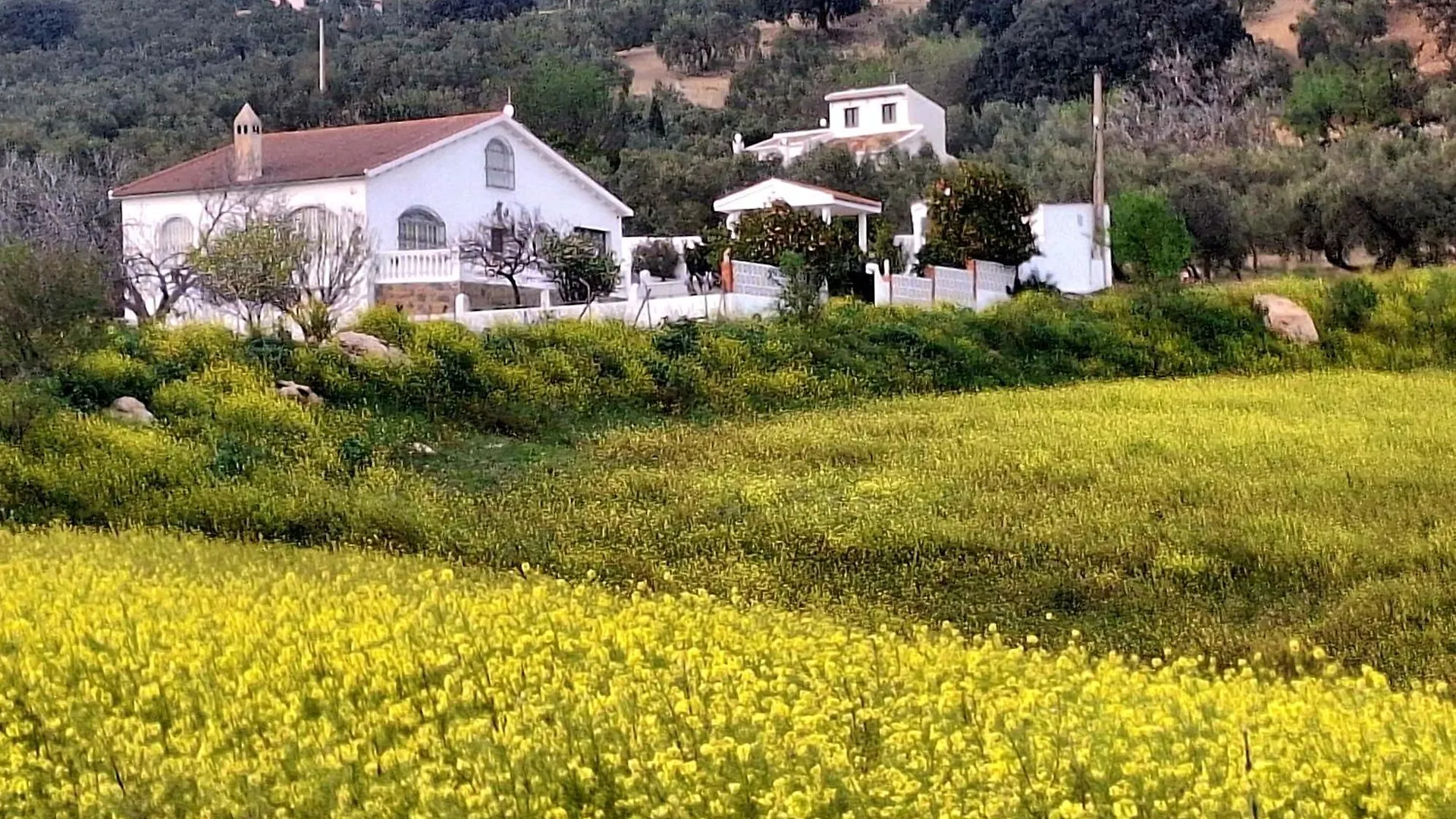 הוילה מאלגה Aires De Gibalto 0*,